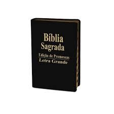 BIBLIA EDIÇAO DE PROMESSAS LETRA GRANDES (PRODUTO USADO - BOM)